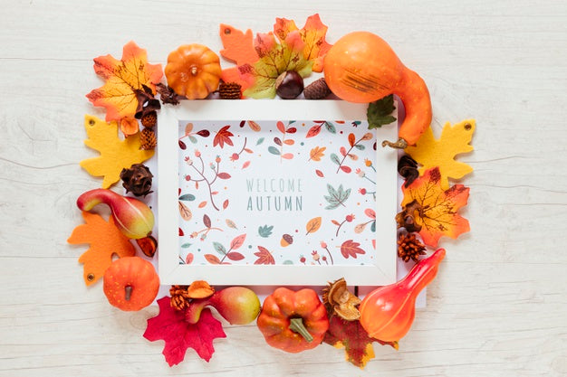 Framed Mock-Up Surrounded By Natural Decor Psd