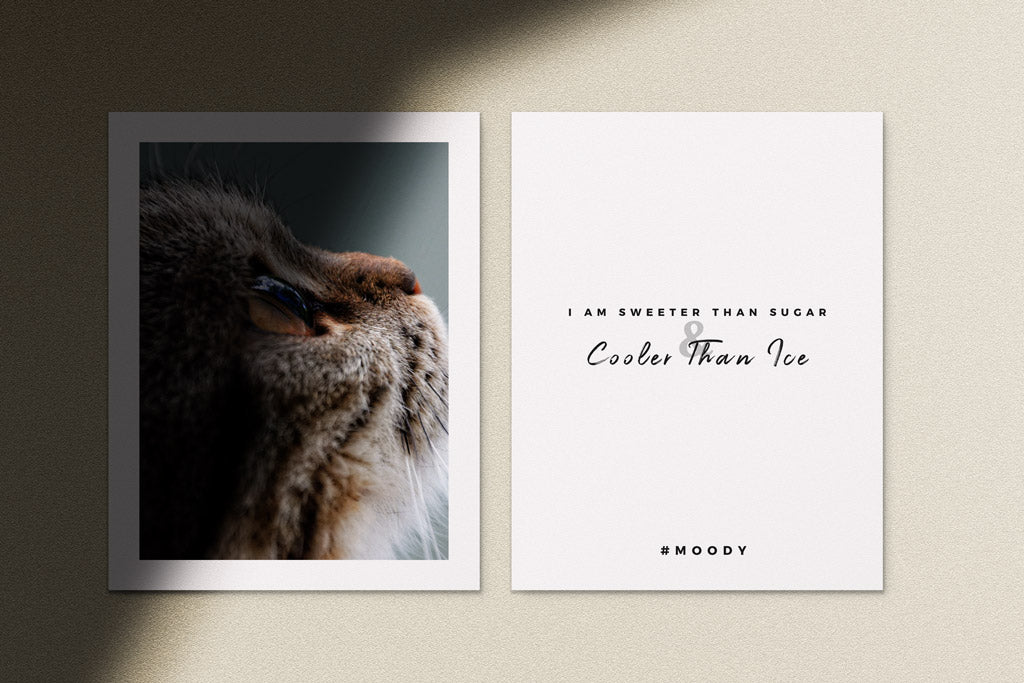 Giant Stationary Mockup Bundle