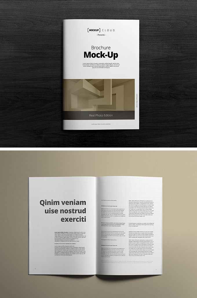 2 Pieces of Top-Notch A4 Brochure Mockups