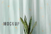 Fresh Snake Plant In Front Of A White Curtain Mockup Psd