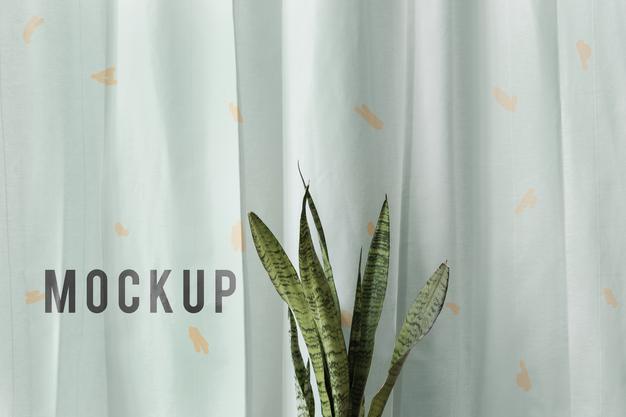 Fresh Snake Plant In Front Of A White Curtain Mockup Psd