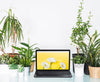 Gardening Concept With Laptop Psd