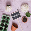 Gardening Elements With Small Blackboard Mock-Up Psd