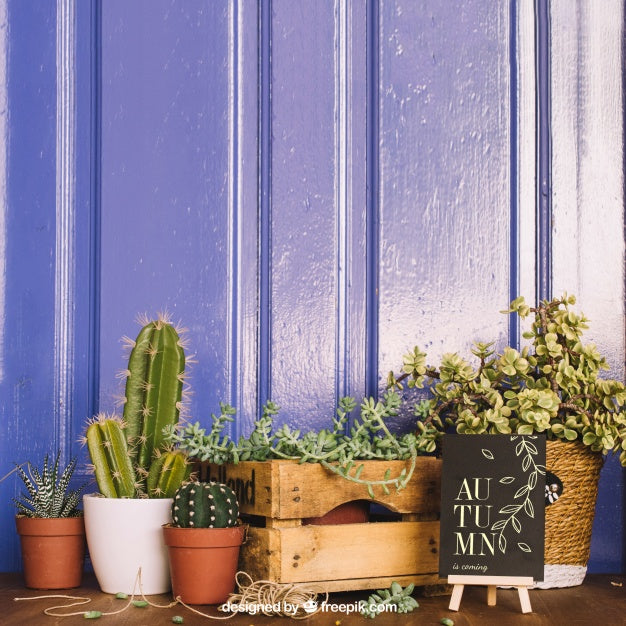 Gardening Mockup With Cactus And Board Psd
