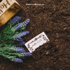 Gardening Mockup With Card Psd