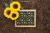 Gardening Mockup With Slate And Sunflower Psd
