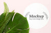 Green Leaves Arrangement With Mock-Up Psd