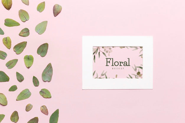 Green Leaves With White Frame Psd