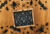Halloween Mockup With Slate And Insects Psd
