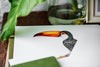 Hand Drawing Photo Of Hornbill Bird