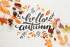 Hello Autumn Calligraphy With Leaves Psd