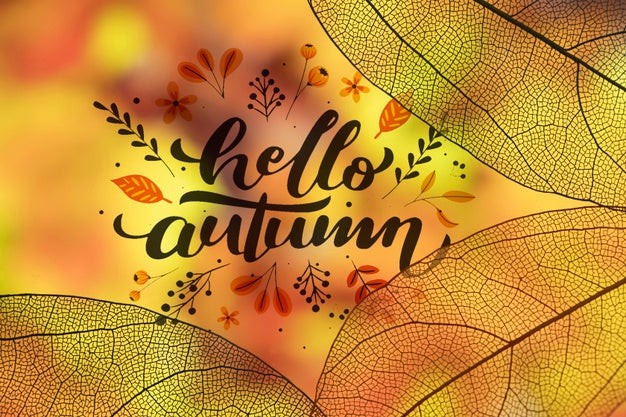 Hello Autumn Lettering With Translucent Leaves Psd