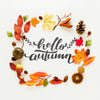 Hello Autumn Quote With Dried Leaves And Fruit Psd