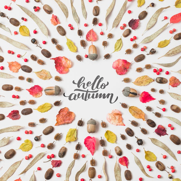 Hello Autumn Quote With Dried Leaves On White Background Psd