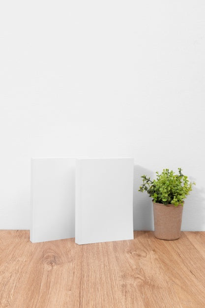 High Angle Books And Plant Arrangement Psd