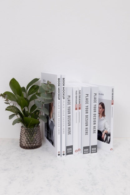 High Angle Books With Plant Arrangement Psd