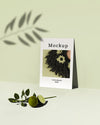 High Angle Of Card With Limes And Shadow Psd