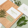 High Angle Stationery And Plant Arrangement Psd