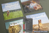 High View Of Four Square Magazines Covers Mockup Psd