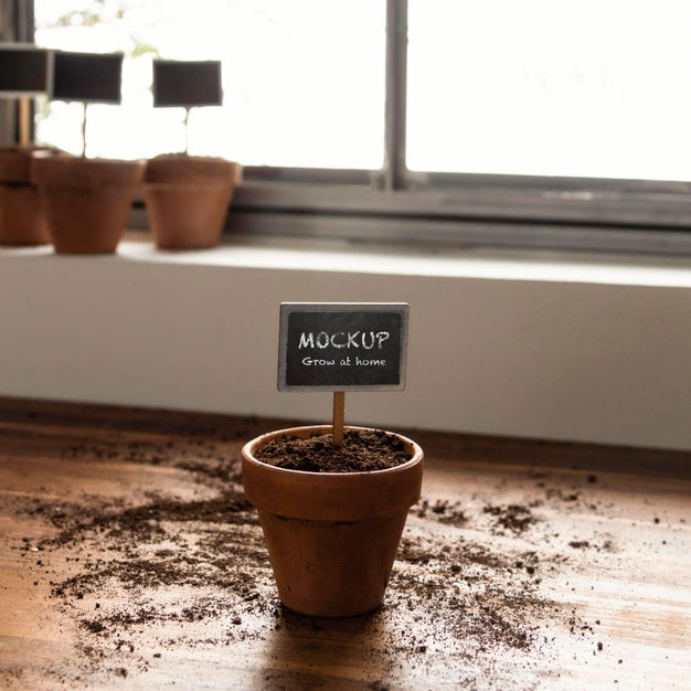 Home Gardening Arrangement With Plant Frame Mock-Up Psd