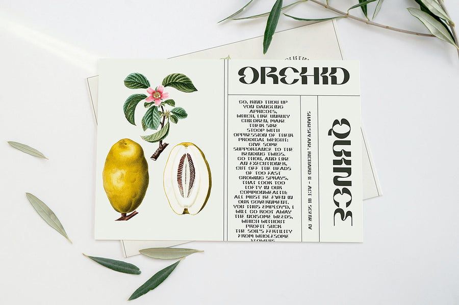 Horizontal Postcard Psd Mockup