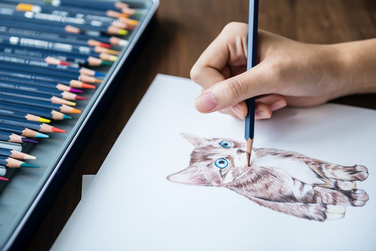 Illustrationist Coloring Adorable Animal Workspace Concept