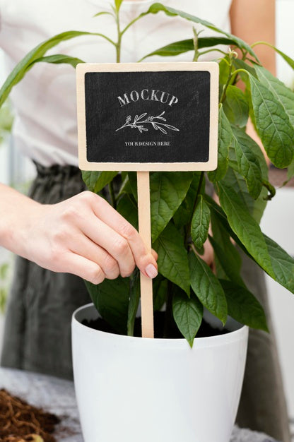 Indoor Vegetation Planting Mock-Up Psd