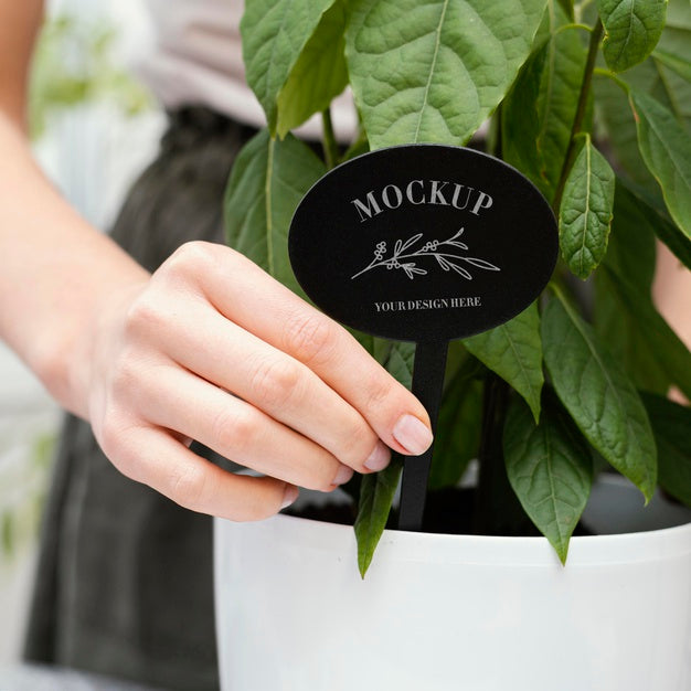 Indoor Vegetation Planting Mock-Up Psd