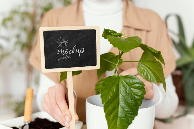 Indoor Vegetation Planting Mock-Up Psd