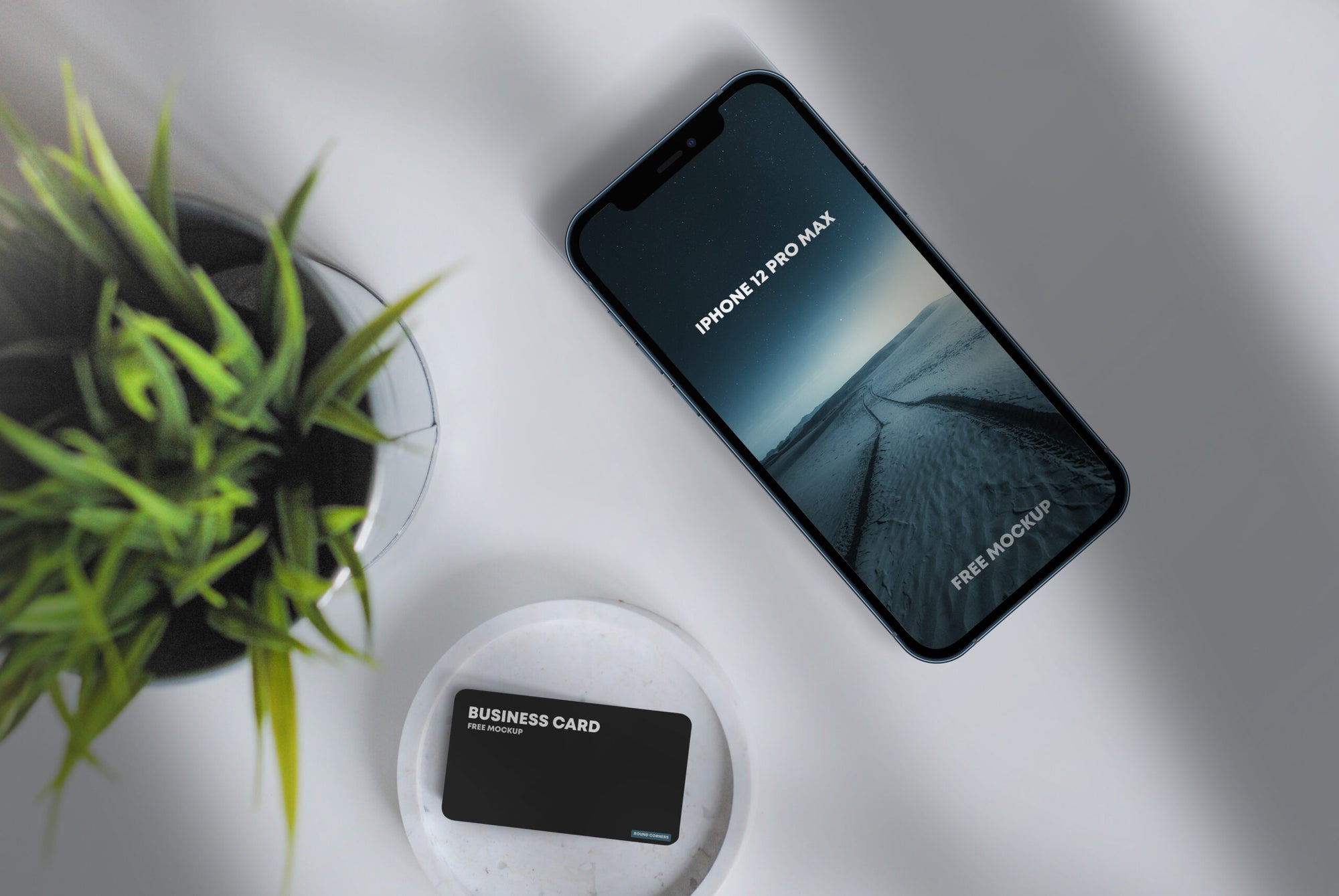 Iphone 12 Pro Max & Business Card Mockup