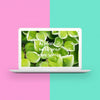 Laptop Two Toned Background Mock Up Psd