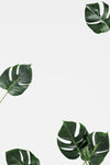 Leaf Mockup Background Psd