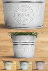 Logo Mock Up With Plant Psd