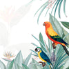 Macaw Tropical Mockup Illustration Psd