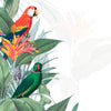 Macaw Tropical Mockup Illustration Psd