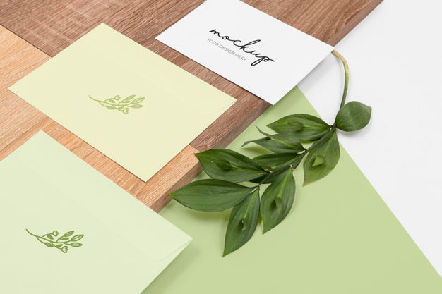 Minimal Stationery And Plant Arrangement Psd