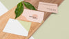 Minimal Stationery And Plant Assortment Psd