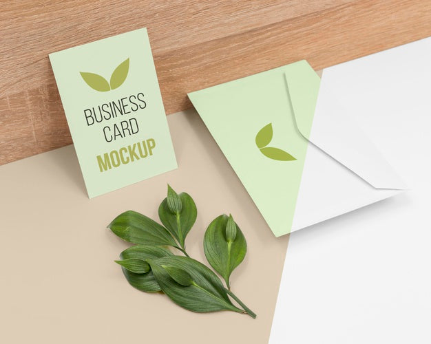 Minimal Stationery Arrangement With Plant Psd