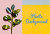 Mock-Up Artistic Drawing On Plant Psd