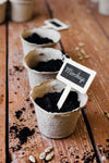 Mock-Up Plant Pots Filled With Soil High View Psd