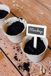 Mock-Up Plant Pots Filled With Soil Psd