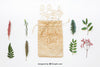 Mockup Of Bag Different Types Of Leaves Psd