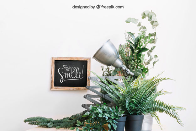 Mockup Of Slate Behind Plants Psd
