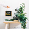 Mockup Of Slate With Plants On Table Psd