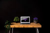 Modern Desk Concept With Plants Psd