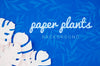 Monstera Paper Plant Leaves Background With Shadows Psd