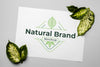 Natural Brand Mock-Up With Leaves Psd