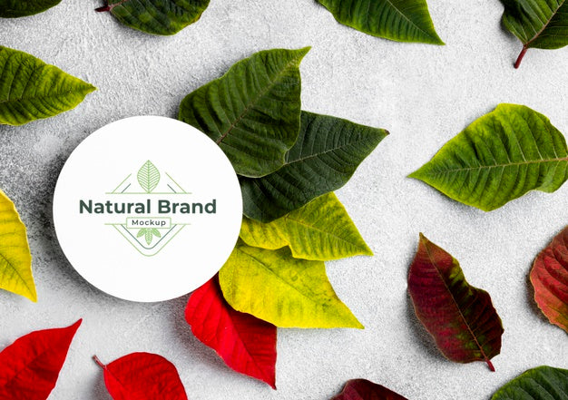 Natural Brand Mock-Up With Leaves Psd