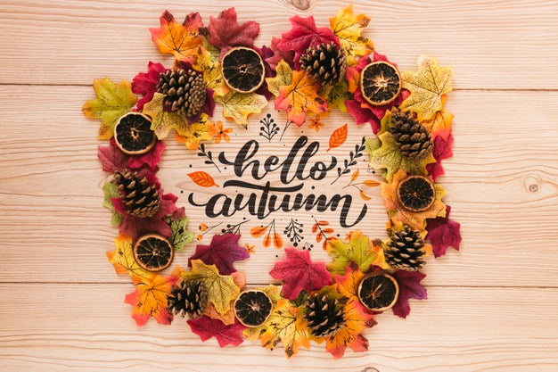 Natural Crown Of Leaves And Dried Slices Of Orange Psd