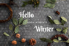 Natural Decoration With Copy Space Psd